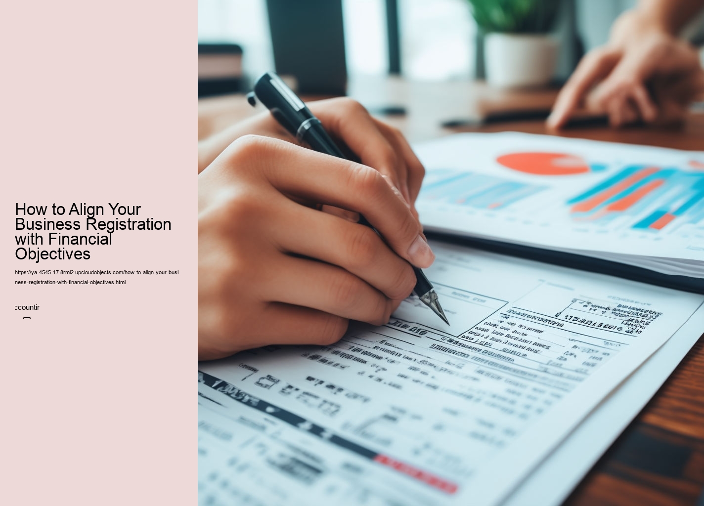 How to Align Your Business Registration with Financial Objectives