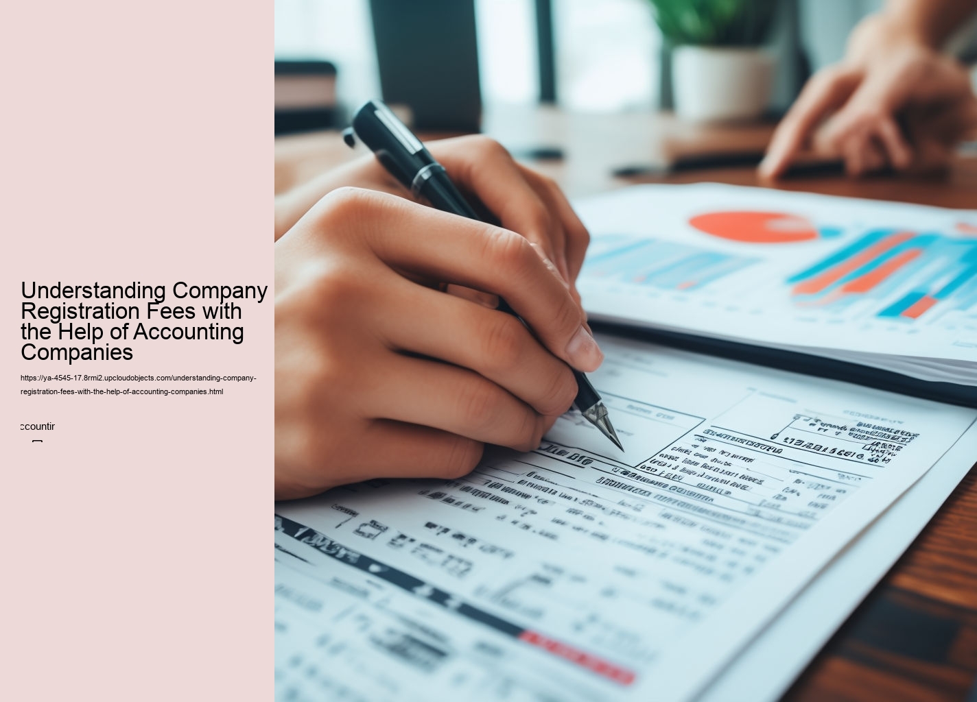 Understanding Company Registration Fees with the Help of Accounting Companies